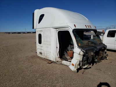 2016 Freightliner Cascadia 125