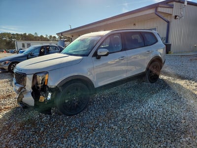 2022 Kia Telluride