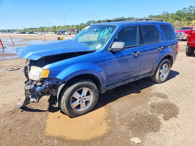 2010 Ford Escape