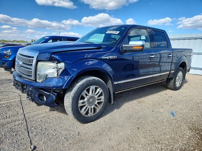 2009 Ford F-150