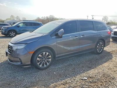 2023 Honda Odyssey