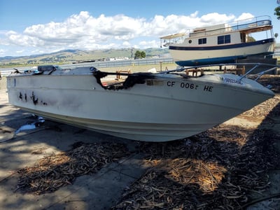 1982 Sea Ray 200 Signat
