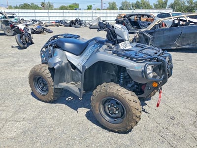 2025 Honda Trx500