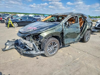 2025 Lexus NX 250
