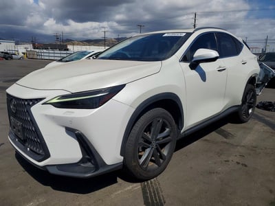 2024 Lexus NX