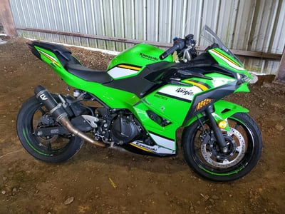 2025 Kawasaki Ninja 500