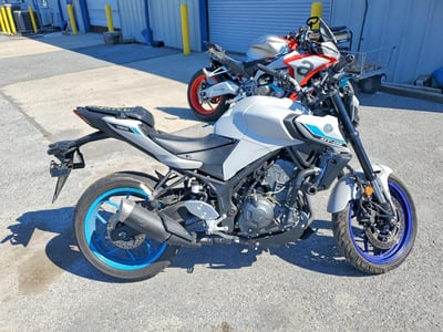 2025 Yamaha Mtn320