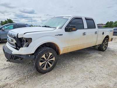 2009 Ford F-150