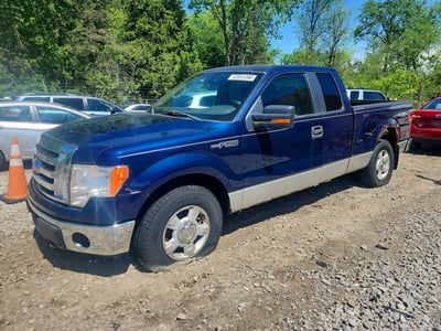 2010 Ford F-150