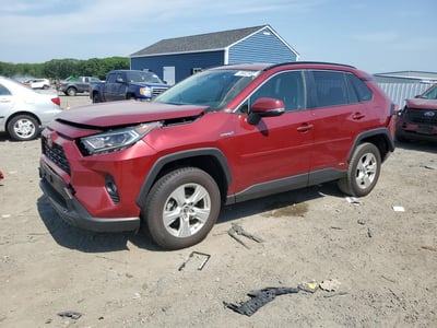 2019 Toyota RAV4 Hybrid