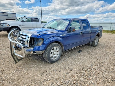 2009 Ford F-150