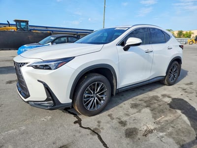 2025 Lexus NX