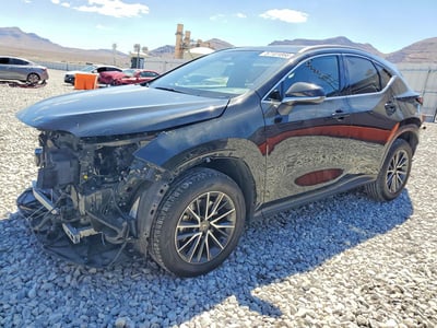 2024 Lexus NX