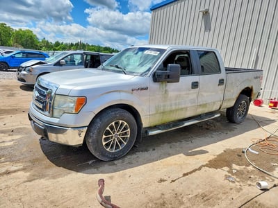 2009 Ford F-150