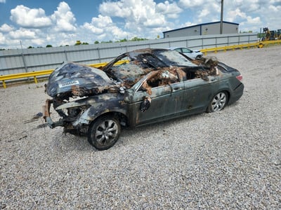 2010 Honda Accord
