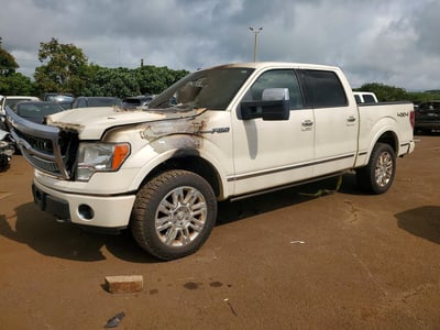 2009 Ford F-150