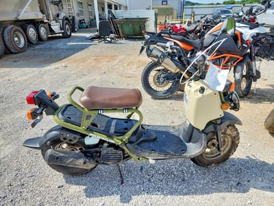 2024 Honda Nps50f