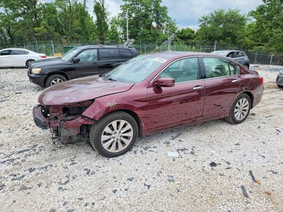 2013 Honda Accord