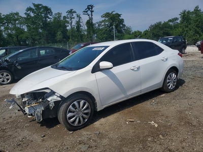 2019 Toyota Corolla