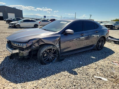 2019 Acura TLX