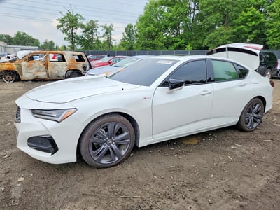 2023 Acura TLX