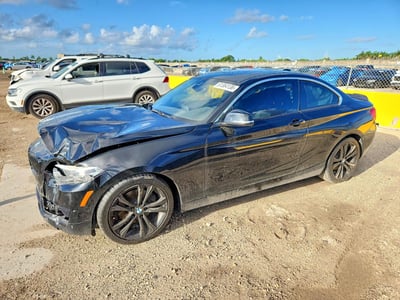 2019 BMW 2 Series