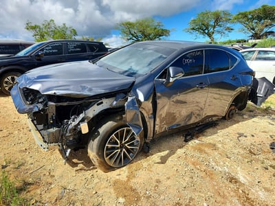 2024 Lexus NX