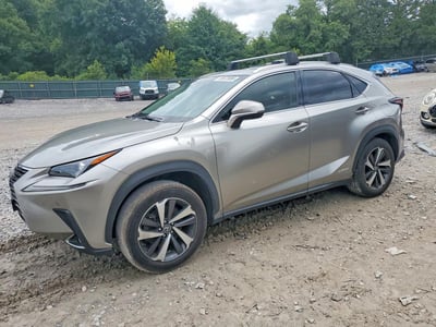 2019 Lexus NX