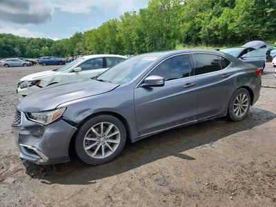 2019 Acura TLX