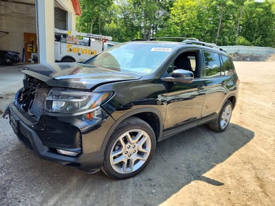 2025 Honda Passport
