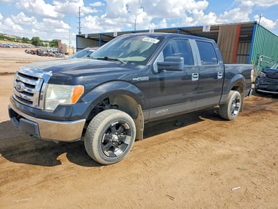 2010 Ford F-150