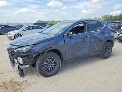 2025 Lexus NX 250