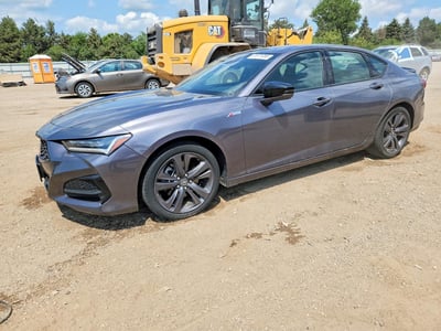 2023 Acura TLX