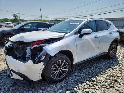 2023 Lexus NX 350