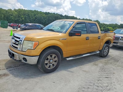 2009 Ford F-150