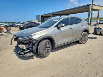 2025 Lexus NX 250