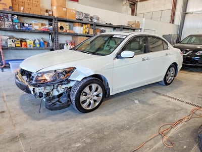 2008 Honda Accord