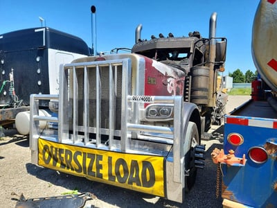 2019 Peterbilt 389