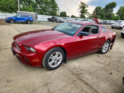 2014 Ford Mustang