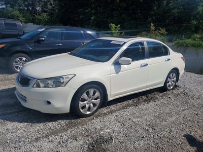 2010 Honda Accord