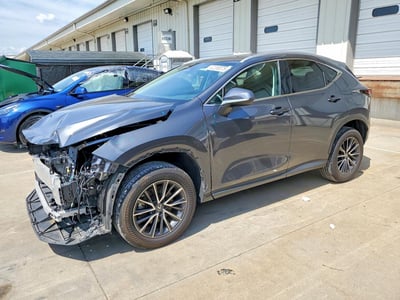 2024 Lexus NX 250