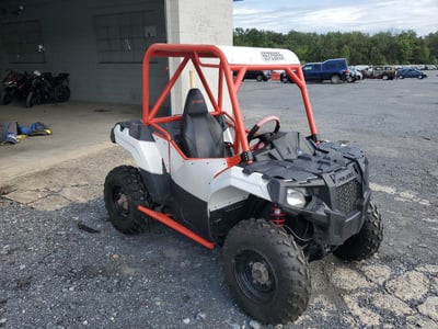 2015 Polaris Trailblazer