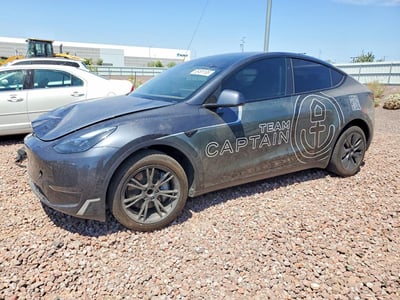 2025 Tesla Model Y