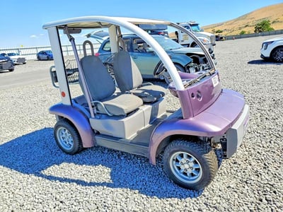 2002 Ford Th!nk