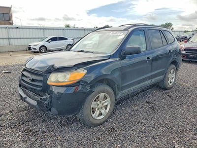 2009 Hyundai Santa Fe