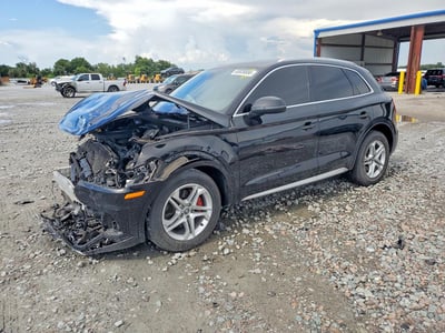 2019 Audi Q5