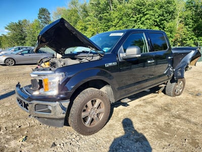 2019 Ford F-150