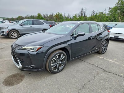 2019 Lexus UX Hybrid