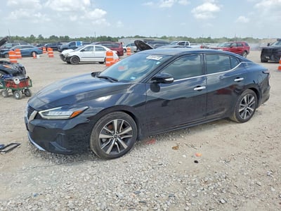 2023 Nissan Maxima