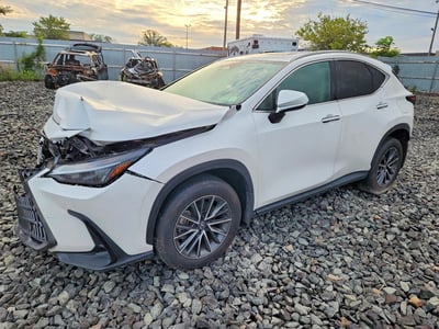 2025 Lexus NX 250